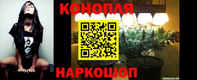тгк Нальчик